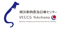 横浜動物救急診療センターVECCSYokohama