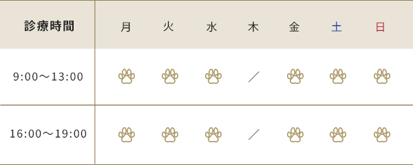 診療時間(午前9:00～13:00、午後16時～19:00、休診日：木曜日)