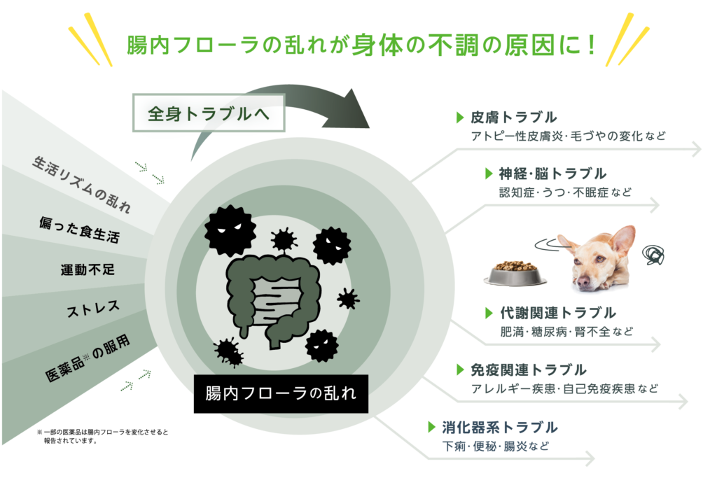 腸内フローラの乱れが身体の不調の原因に