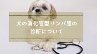 犬の消化管型リンパ腫の診断について – 湘南ルアナ動物病院