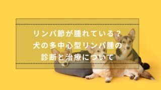 犬のリンパ腫診療アップデート2021 犬のリンパ腫診療アップデート2021 | 株式会社 医療情報研究所