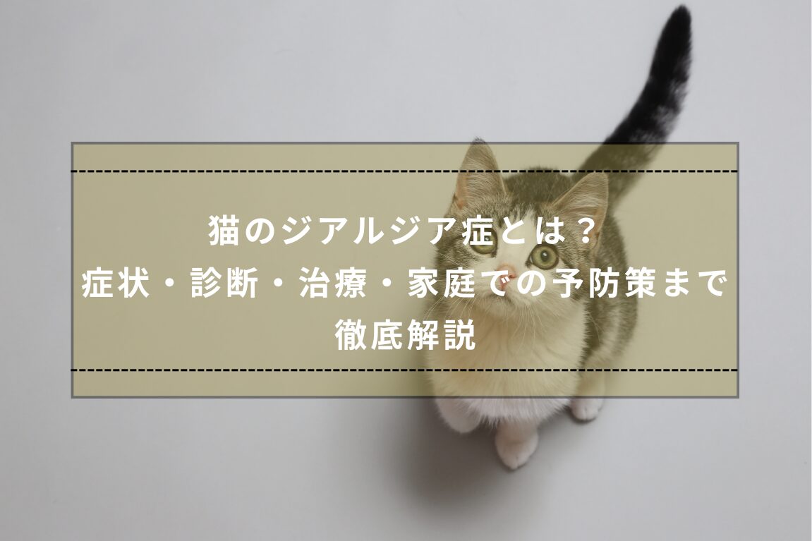 猫のジアルジア症.jpg