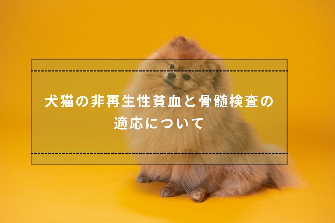 犬猫の非再生性貧血と骨髄検査の適応について – 湘南ルアナ動物病院