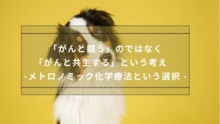 がんと闘う」のではなく「がんと共生する」という考え -メトロノミック