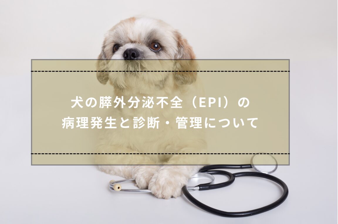 犬-膵外分泌不全-EPI.jpg