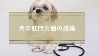 犬の肛門周囲の腫瘍-320x180.jpg